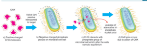 mechanism of action of chlorhexidine in irrigants and irrigation